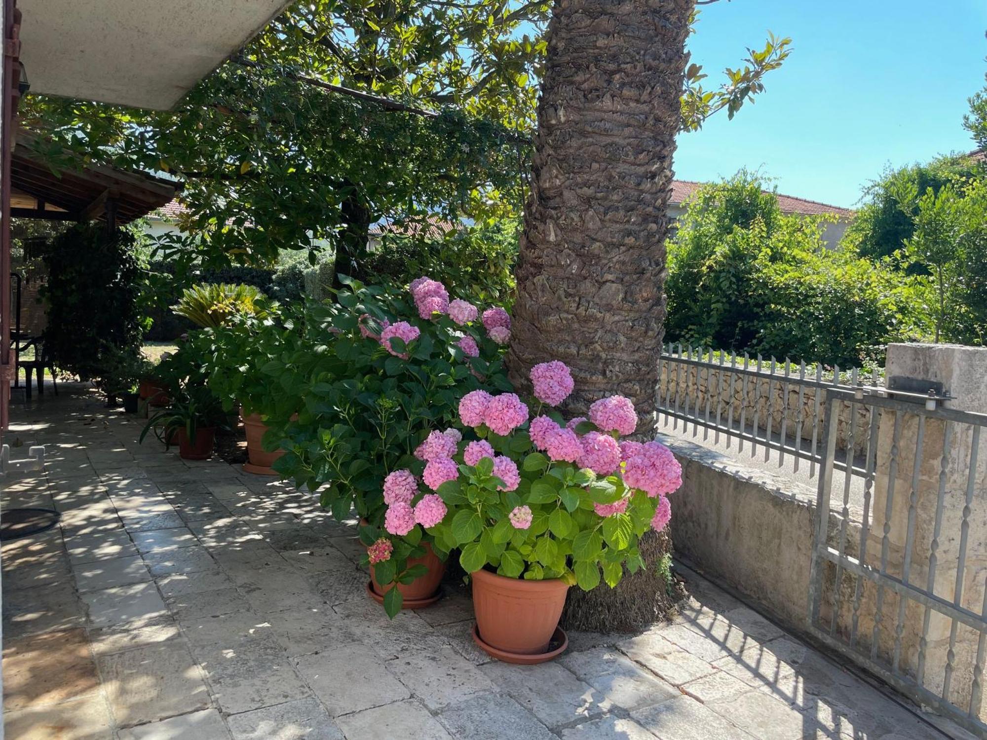 Hvar Guesthouse - Double Bedroom With Private Bathroom Jelsa  Extérieur photo